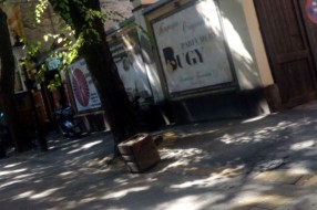 Žardinjere u Engelsovoj "ukopane" u popločanu stazu