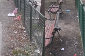 "Lepši i čistiji" grad - Subotica strogi centar. Ne kultura ili nešto drugo?