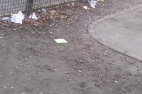 "Lepši i čistiji" grad - Subotica strogi centar. Ne kultura ili nešto drugo?