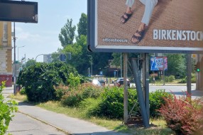 Zaraslo autobusko stajalište Patria