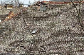 Loš krov u centru grada (ugао Vase Stajića i Đure Đakovića)