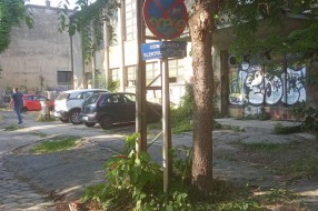Zaraslo drveće i znakovi u Harambašićevoj