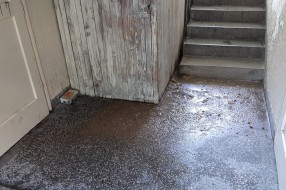 Zgrada pliva u fekalijama, niko neće da se prihvati rešavanja problema