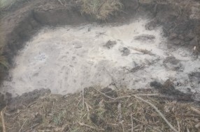 Salaši u Đurđinu bez vode više dana