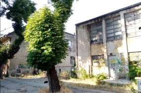 Ruglo u Harambašićevoj