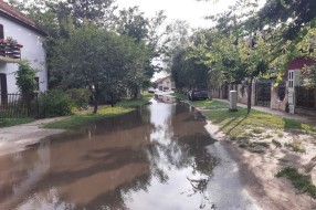 Plaćamo odvodnjavanje, a voda nam se godinama unazad zadržava u ulici (Sutjeska, Palić) i ulazi u podrume