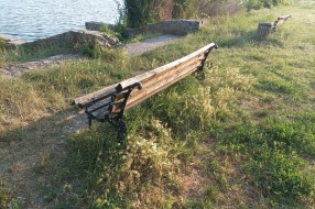 Obrasla trava oko više klupa na Paliću