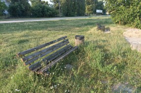 Obrasla trava oko više klupa na Paliću