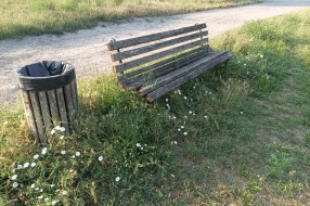 Obrasla trava oko više klupa na Paliću