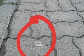 Oprez! Bacaju životinjama hranu sa žiletom (Željezničko naselje)