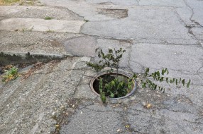 Šahta bez poklopca nedelju dana - Šumska 11