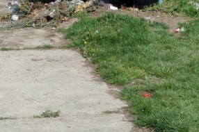 Zapušteno Pravoslavno groblje u Aleksandrovu