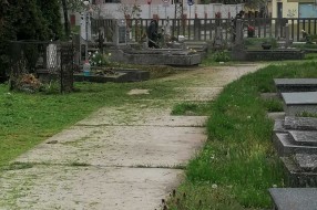 Zapušteno Pravoslavno groblje u Aleksandrovu
