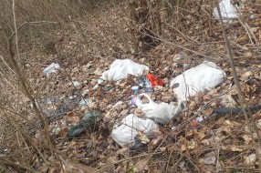 Svaki dan sve više smeća na ulicama u selu Gabrić