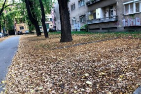 Sakupljanje i paljenje lišća