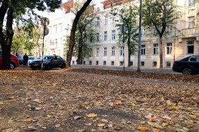 Sakupljanje i paljenje lišća