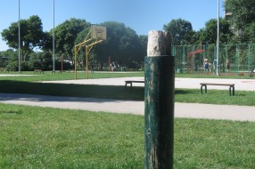 Dotrajao konj sa hvataljkama na terenima na Prozivci