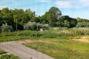 Trafo stanica obrasla u visoku travu i šiblje