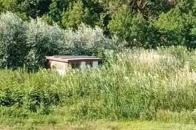 Trafo stanica obrasla u visoku travu i šiblje