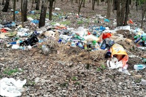 Bacanje smeća, krađa drva i drugi problemi u Kelebijskoj šumi
