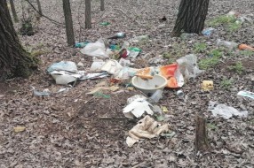 Bacanje smeća, krađa drva i drugi problemi u Kelebijskoj šumi