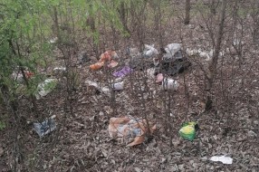 Bacanje smeća, krađa drva i drugi problemi u Kelebijskoj šumi