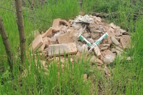 Bacanje smeća, krađa drva i drugi problemi u Kelebijskoj šumi