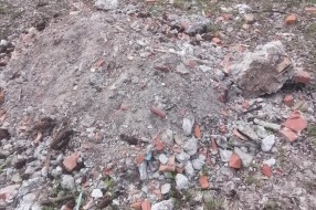 Bacanje smeća, krađa drva i drugi problemi u Kelebijskoj šumi