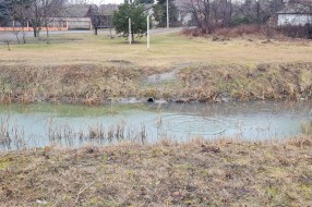 Puštanje kanalizacije u kanal Palić-Ludaš