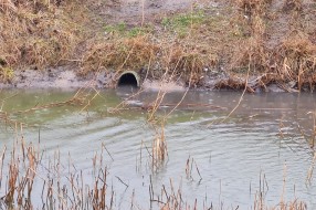 Puštanje kanalizacije u kanal Palić-Ludaš