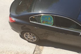 Rupa celom širinom puta u Ulici Mirka Bogovića