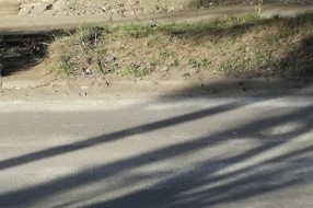 Nebezbedan pesacki prelaz u Bajnatskoj ulici
