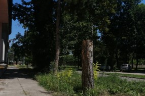 Košenje trave u Petrinjskoj ulici
