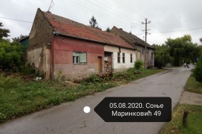 Drvo za uklanjanje u Ulici Sonje Marinković