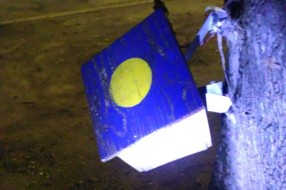 Ko treba da ukloni zakovanu kutiju na drvetu (Donji Tavankut)
