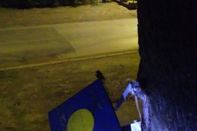 Ko treba da ukloni zakovanu kutiju na drvetu (Donji Tavankut)