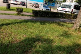 Bahato parkiranje na travi kod bazena na Prozivci