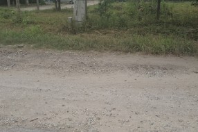 Opasnost u Kireškoj ulici