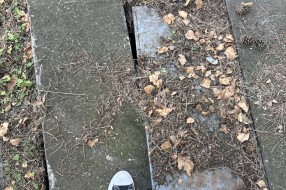Nebezbedna šahta u parku kod SUP-a
