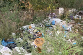Stotine metara smeća uz prugu – ko je nadležan da reši problem?