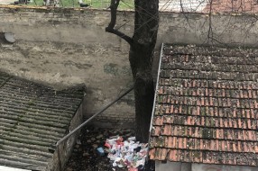 Razbacano smeće iza zgrade na Radijalcu