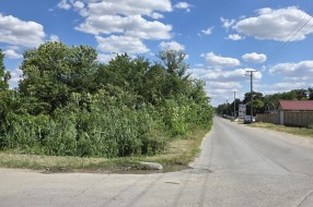 Urasli kanali, opasnost na raskrsnici - Lopudska ulica Palić