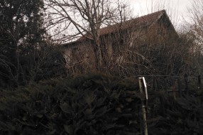 Ilegalni migranti kod Pionira