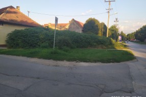 Održavanje javne površine na uglu ulica Ivana Antunovića i Nade Dimić