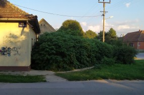 Održavanje javne površine na uglu ulica Ivana Antunovića i Nade Dimić