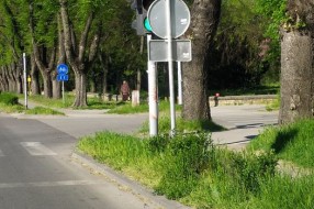 Saobraćajni znak zaklanja semafor (raskrsnica Gajeve i Somborskog puta)