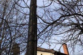 Bandera na Pačirskom putu u katastrofalnom stanju