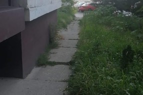 Košenje trave na Prozivci (Nade Dimić, Lovre Bračuljevića)