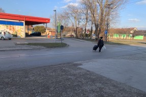 Pešački prelaz na Bajskom putu (kod Univerxporta)
