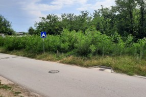 Zapuštena javna površina pored škole i zabavišta u Šabačkoj ulici